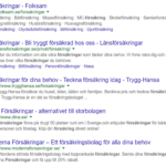Urvalet av försäkringsbolag i google.se